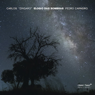 Image CD cover Carlos Zingaro and Pedro Carneiro Elogio
